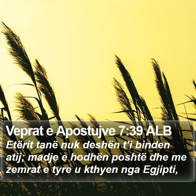 Veprat e Apostujve 7:39 ALB Bible Verse Image