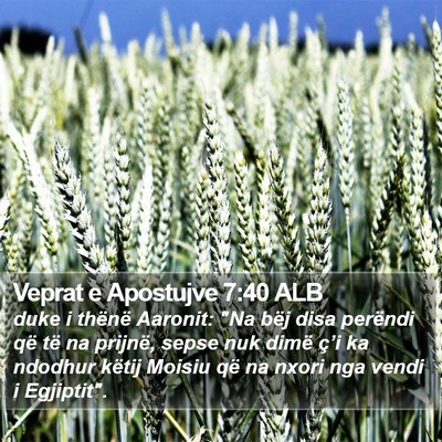 Veprat e Apostujve 7:40 ALB Bible Verse Image