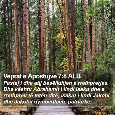Veprat e Apostujve 7:8 ALB Bible Verse Image