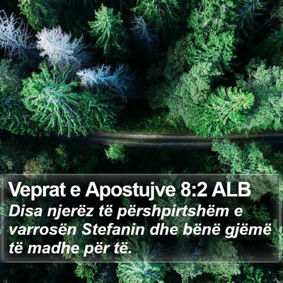 Veprat e Apostujve 8:2 ALB Bible Verse Image