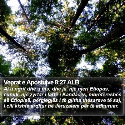 Veprat e Apostujve 8:27 ALB Bible Verse Image