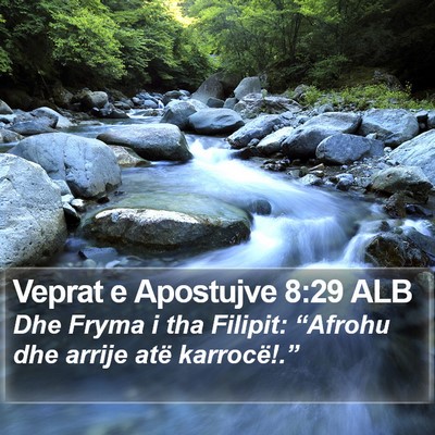 Veprat e Apostujve 8:29 ALB Bible Verse Image