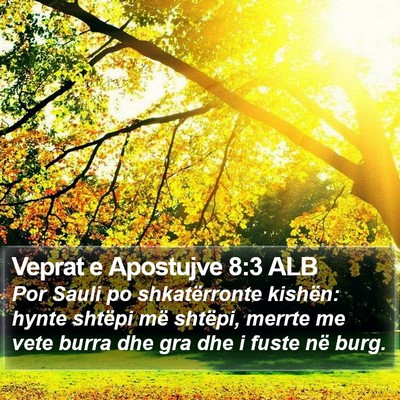 Veprat e Apostujve 8:3 ALB Bible Verse Image
