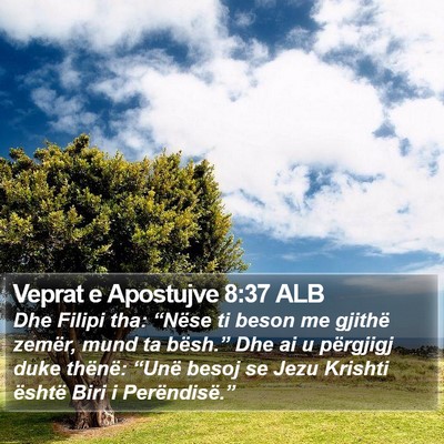 Veprat e Apostujve 8:37 ALB Bible Verse Image