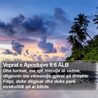 Veprat e Apostujve 8:6 ALB Bible Verse Image