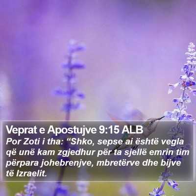 Veprat e Apostujve 9:15 ALB Bible Verse Image