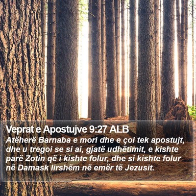 Veprat e Apostujve 9:27 ALB Bible Verse Image