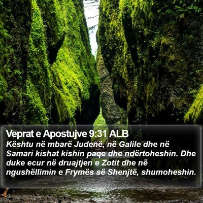 Veprat e Apostujve 9:31 ALB Bible Verse Image