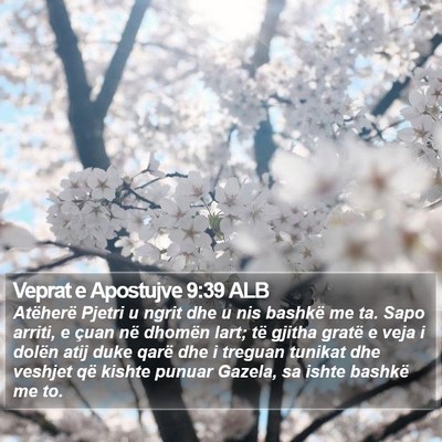 Veprat e Apostujve 9:39 ALB Bible Verse Image