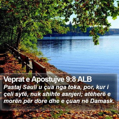 Veprat e Apostujve 9:8 ALB Bible Verse Image