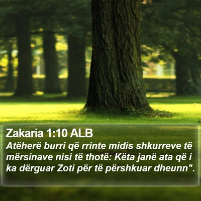 Zakaria 1:10 ALB Bible Verse Image
