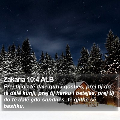 Zakaria 10:4 ALB Bible Verse Image