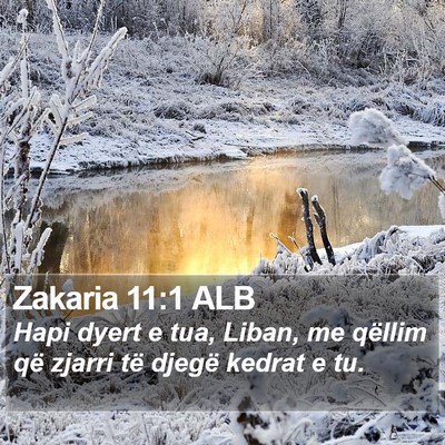 Zakaria 11:1 ALB Bible Verse Image