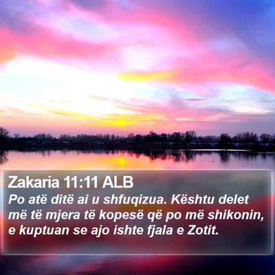 Zakaria 11:11 ALB Bible Verse Image