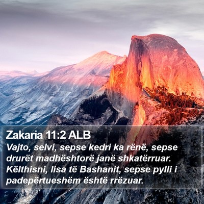 Zakaria 11:2 ALB Bible Verse Image