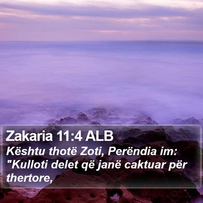 Zakaria 11:4 ALB Bible Verse Image
