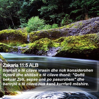 Zakaria 11:5 ALB Bible Verse Image
