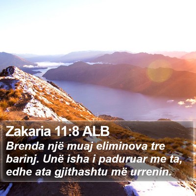 Zakaria 11:8 ALB Bible Verse Image