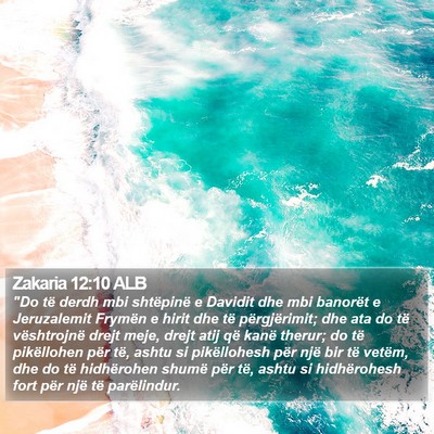 Zakaria 12:10 ALB Bible Verse Image