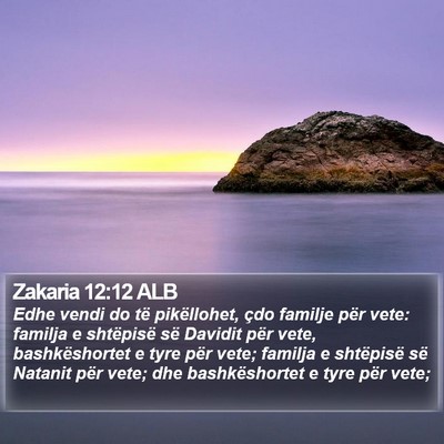 Zakaria 12:12 ALB Bible Verse Image