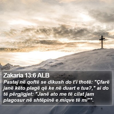 Zakaria 13:6 ALB Bible Verse Image