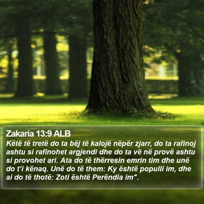 Zakaria 13:9 ALB Bible Verse Image