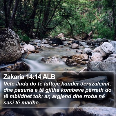 Zakaria 14:14 ALB Bible Verse Image