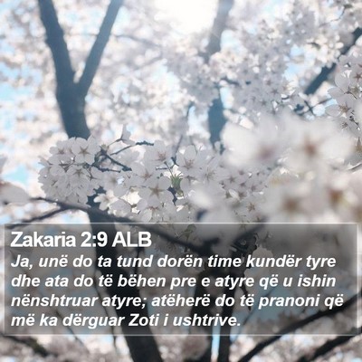Zakaria 2:9 ALB Bible Verse Image