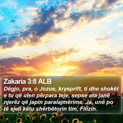 Zakaria 3:8 ALB Bible Verse Image