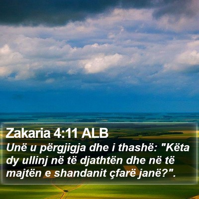 Zakaria 4:11 ALB Bible Verse Image