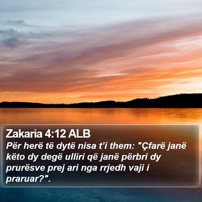 Zakaria 4:12 ALB Bible Verse Image