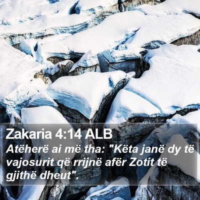 Zakaria 4:14 ALB Bible Verse Image