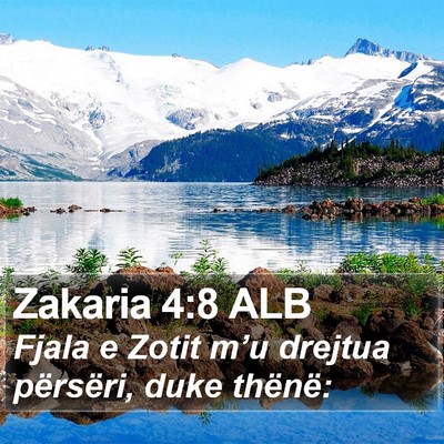 Zakaria 4:8 ALB Bible Verse Image