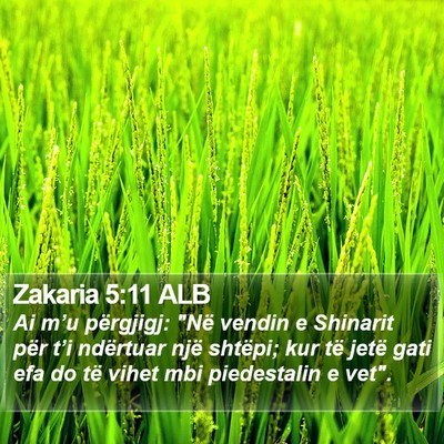 Zakaria 5:11 ALB Bible Verse Image