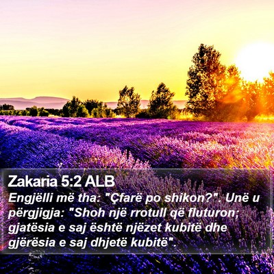 Zakaria 5:2 ALB Bible Verse Image