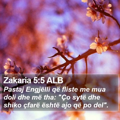 Zakaria 5:5 ALB Bible Verse Image