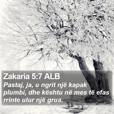 Zakaria 5:7 ALB Bible Verse Image