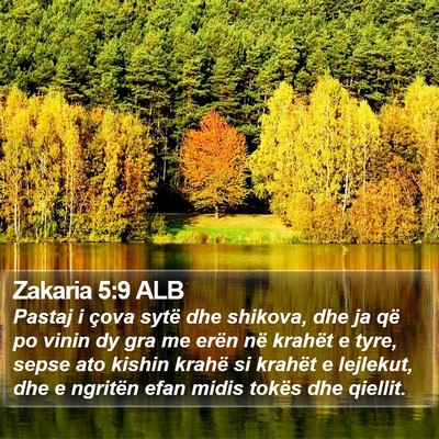 Zakaria 5:9 ALB Bible Verse Image