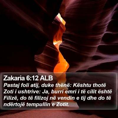 Zakaria 6:12 ALB Bible Verse Image