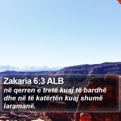 Zakaria 6:3 ALB Bible Verse Image