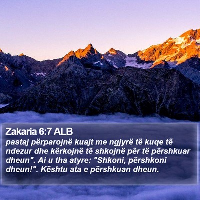 Zakaria 6:7 ALB Bible Verse Image