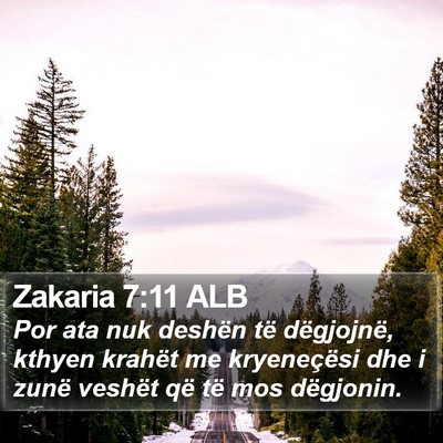 Zakaria 7:11 ALB Bible Verse Image