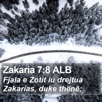 Zakaria 7:8 ALB Bible Verse Image
