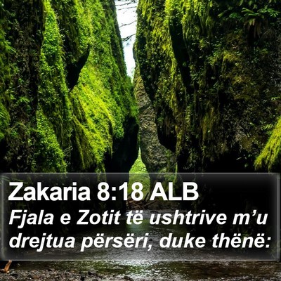 Zakaria 8:18 ALB Bible Verse Image
