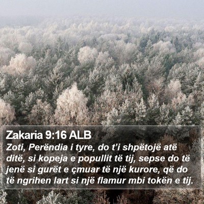 Zakaria 9:16 ALB Bible Verse Image