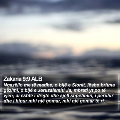 Zakaria 9:9 ALB Bible Verse Image