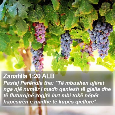 Zanafilla 1:20 ALB Bible Verse Image