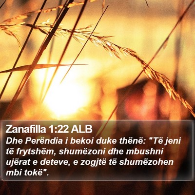 Zanafilla 1:22 ALB Bible Verse Image