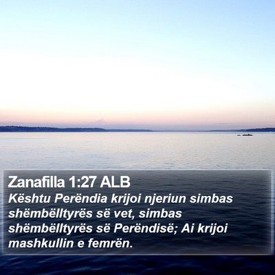 Zanafilla 1:27 ALB Bible Verse Image