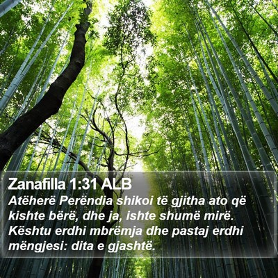 Zanafilla 1:31 ALB Bible Verse Image